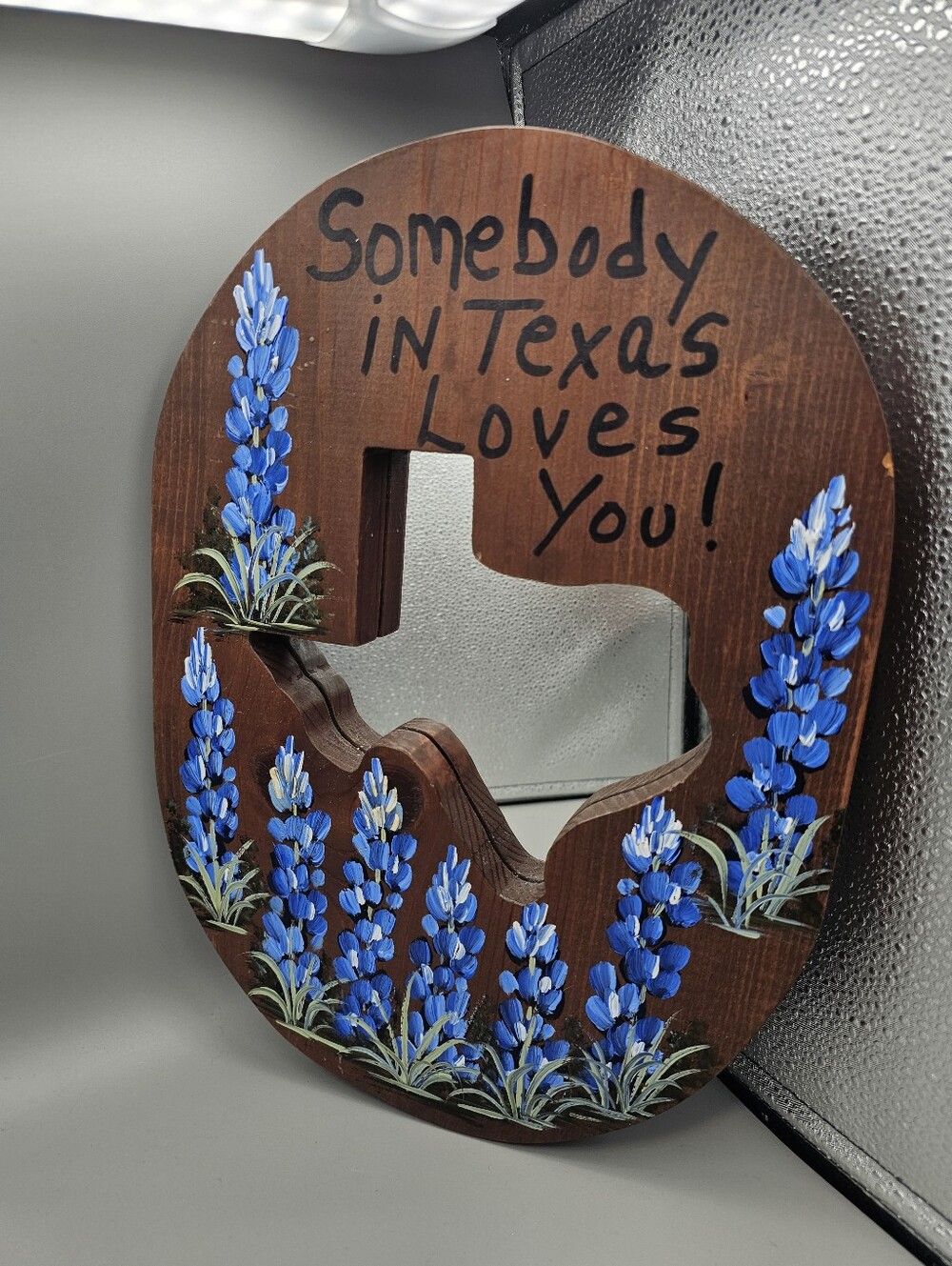 Handmade Wood Texas Mirror Wall‎ Hanging Blue Bonnet Handpainted Vintage Picture